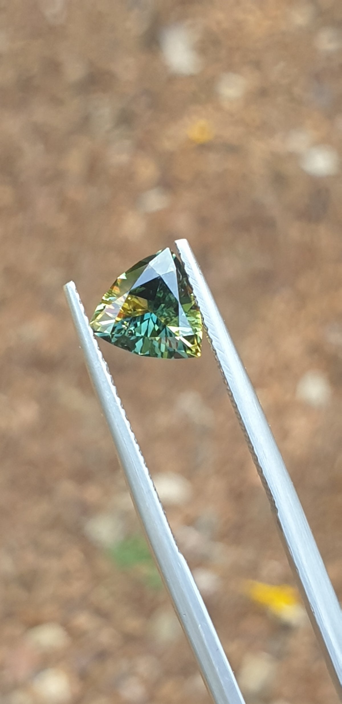1.47ct Trilliant Unique Parti Sapphire