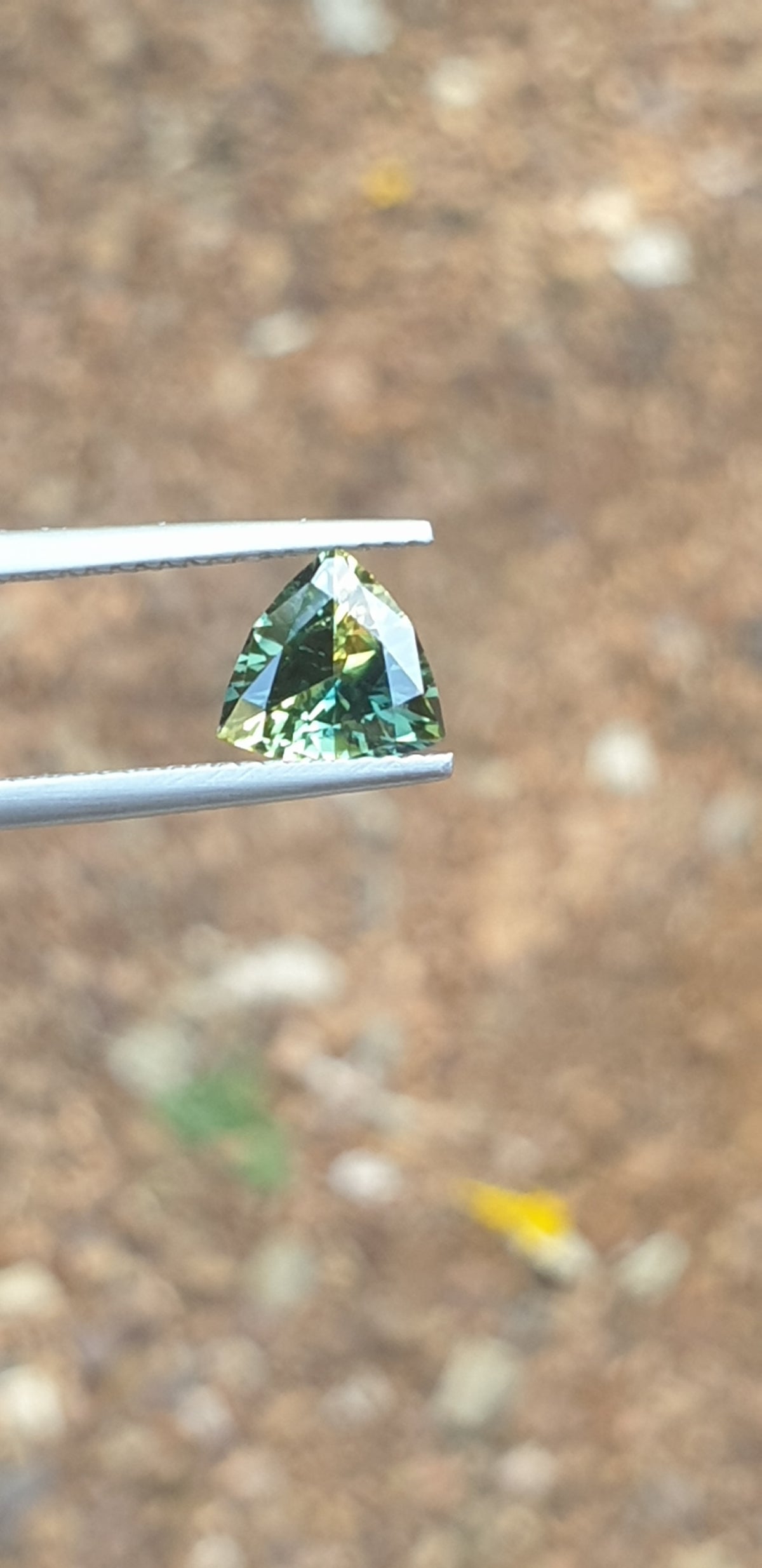 1.47ct Trilliant Unique Parti Sapphire