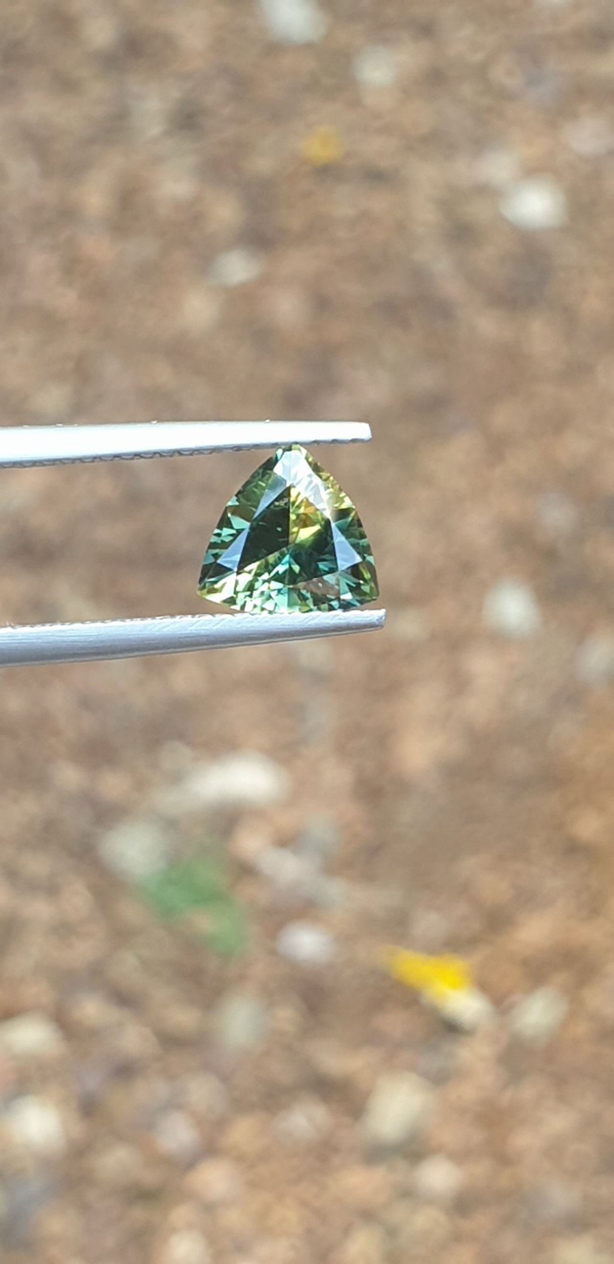 1.47ct Trilliant Unique Parti Sapphire