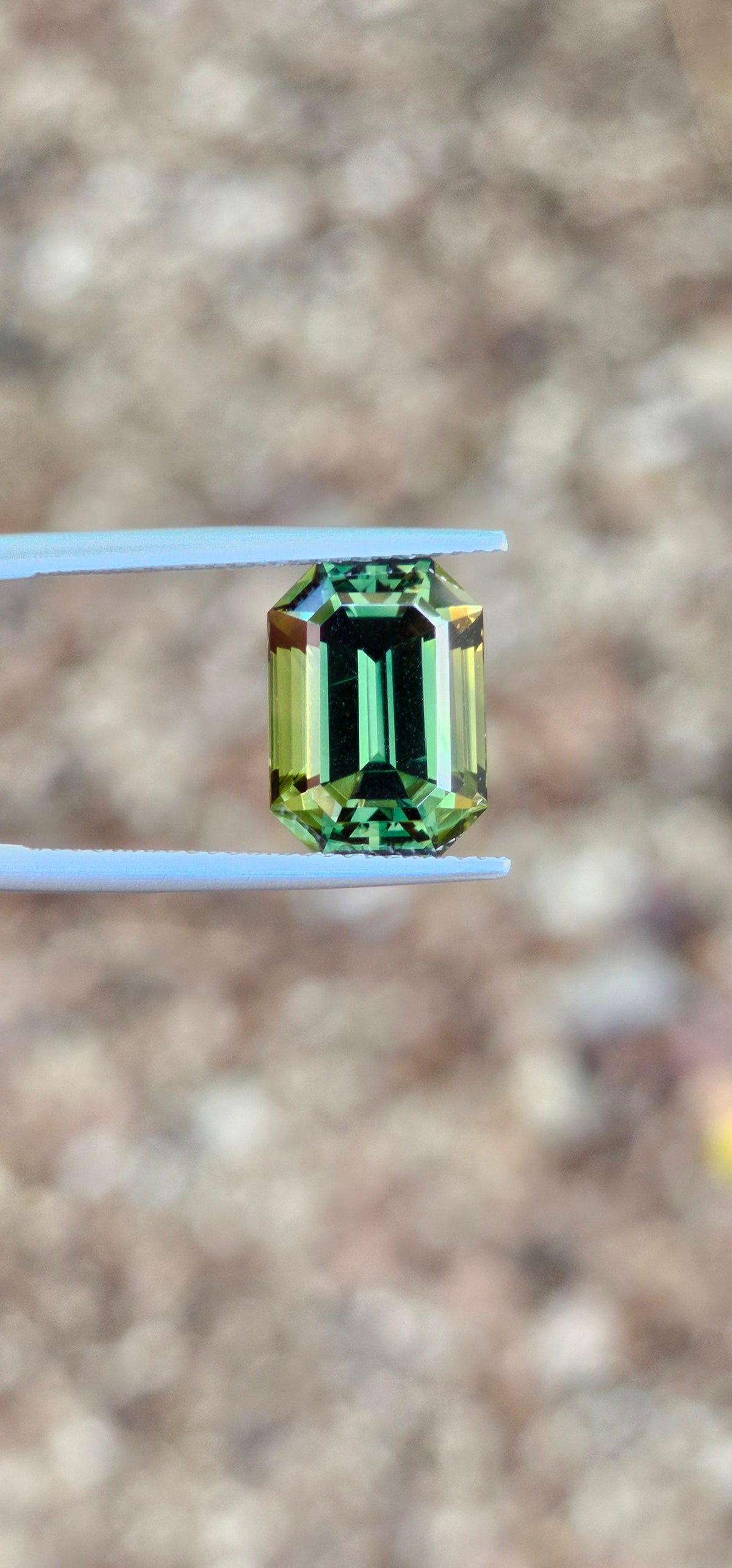 7.60ct Emerald Forest Green Parti Sapphire