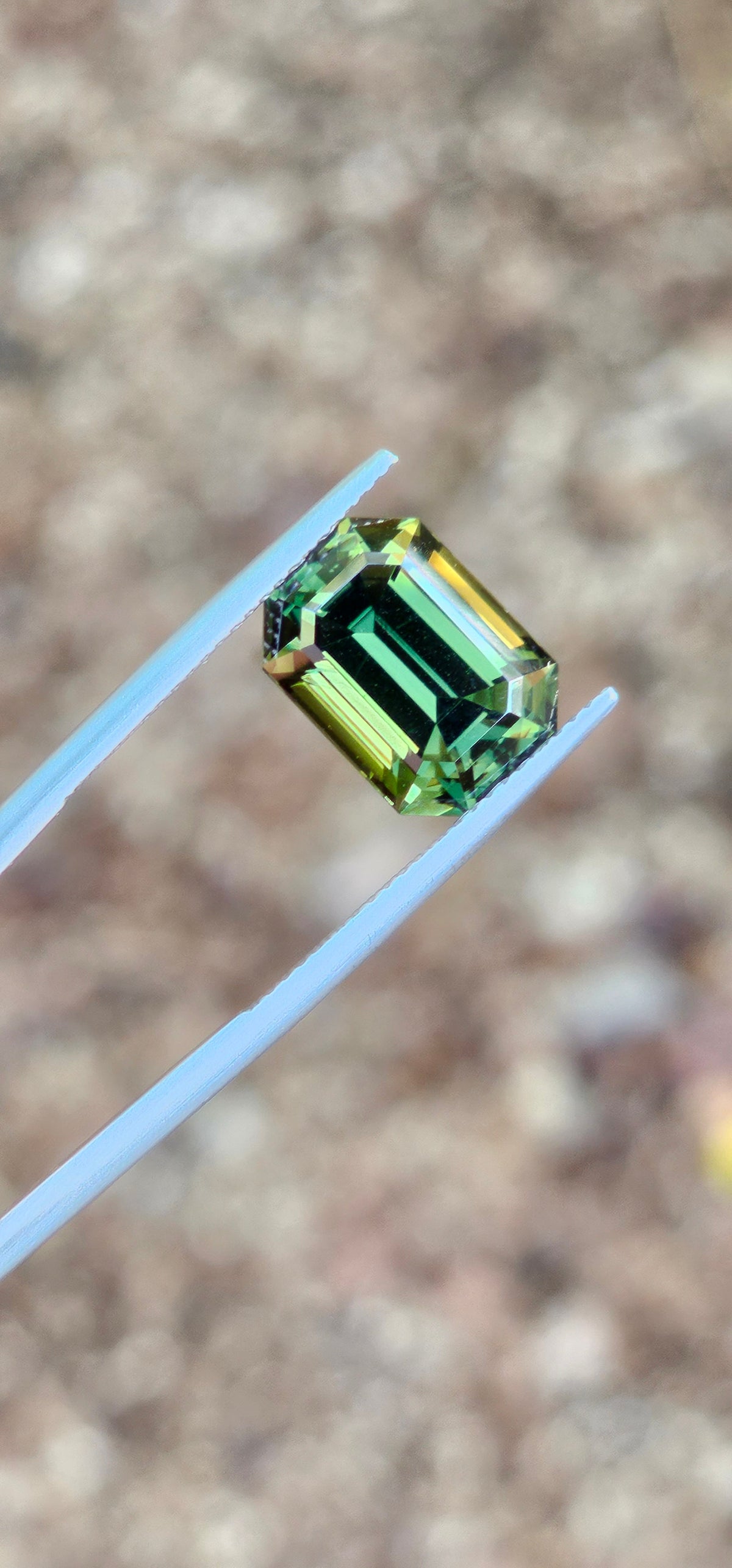 7.60ct Emerald Forest Green Parti Sapphire