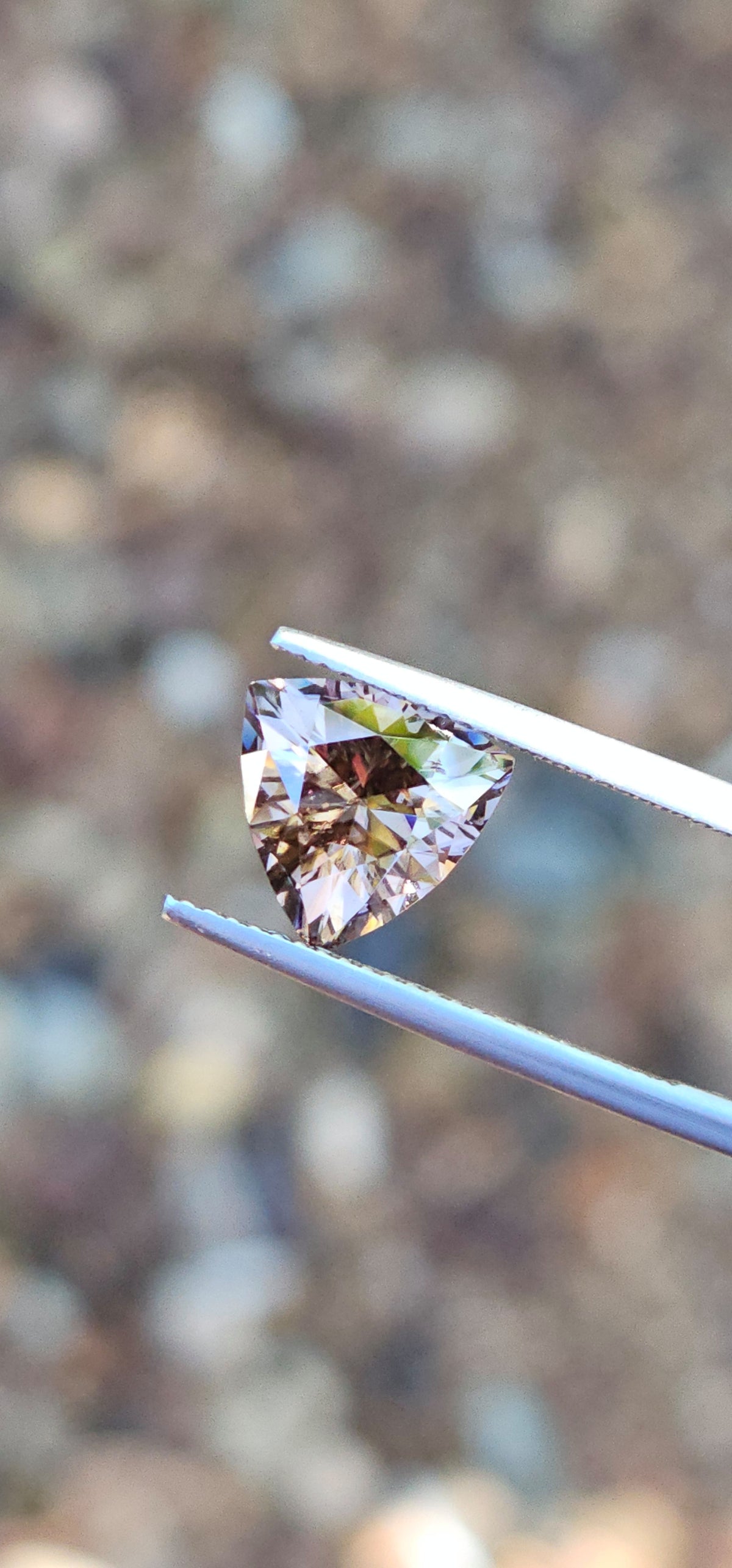 3.82ct Trilliant Beige Harts Range Zircons