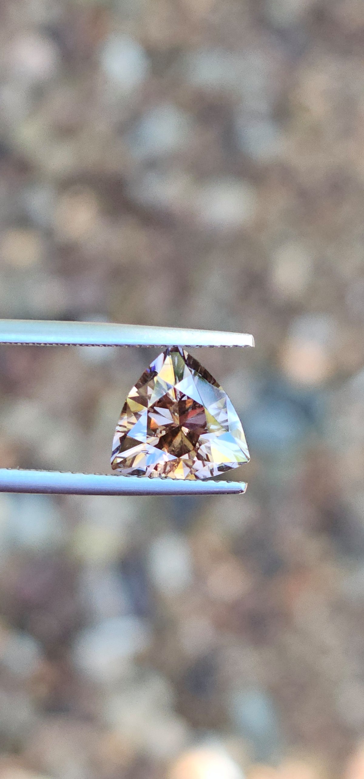 3.82ct Trilliant Beige Harts Range Zircons