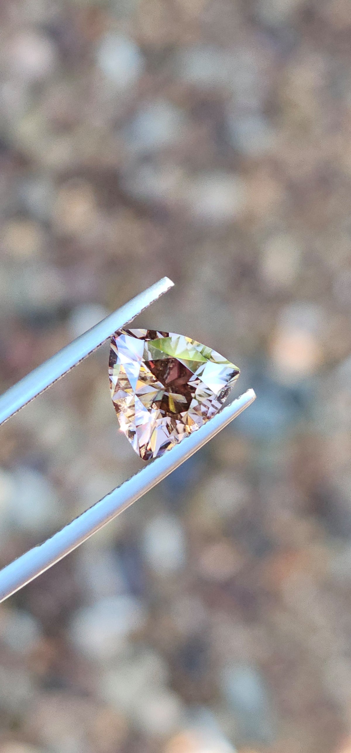 3.82ct Trilliant Beige Harts Range Zircons