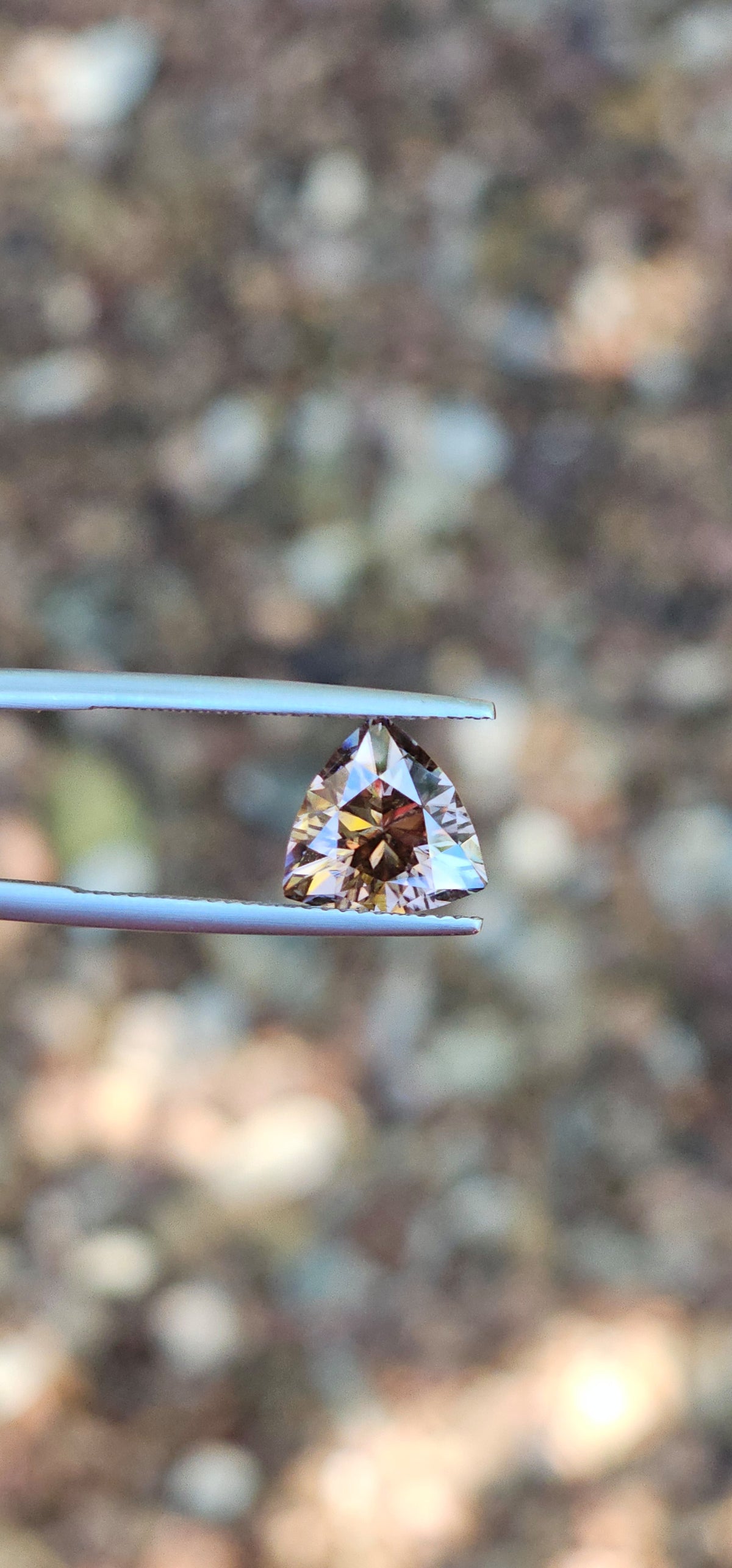 3.82ct Trilliant Beige Harts Range Zircons