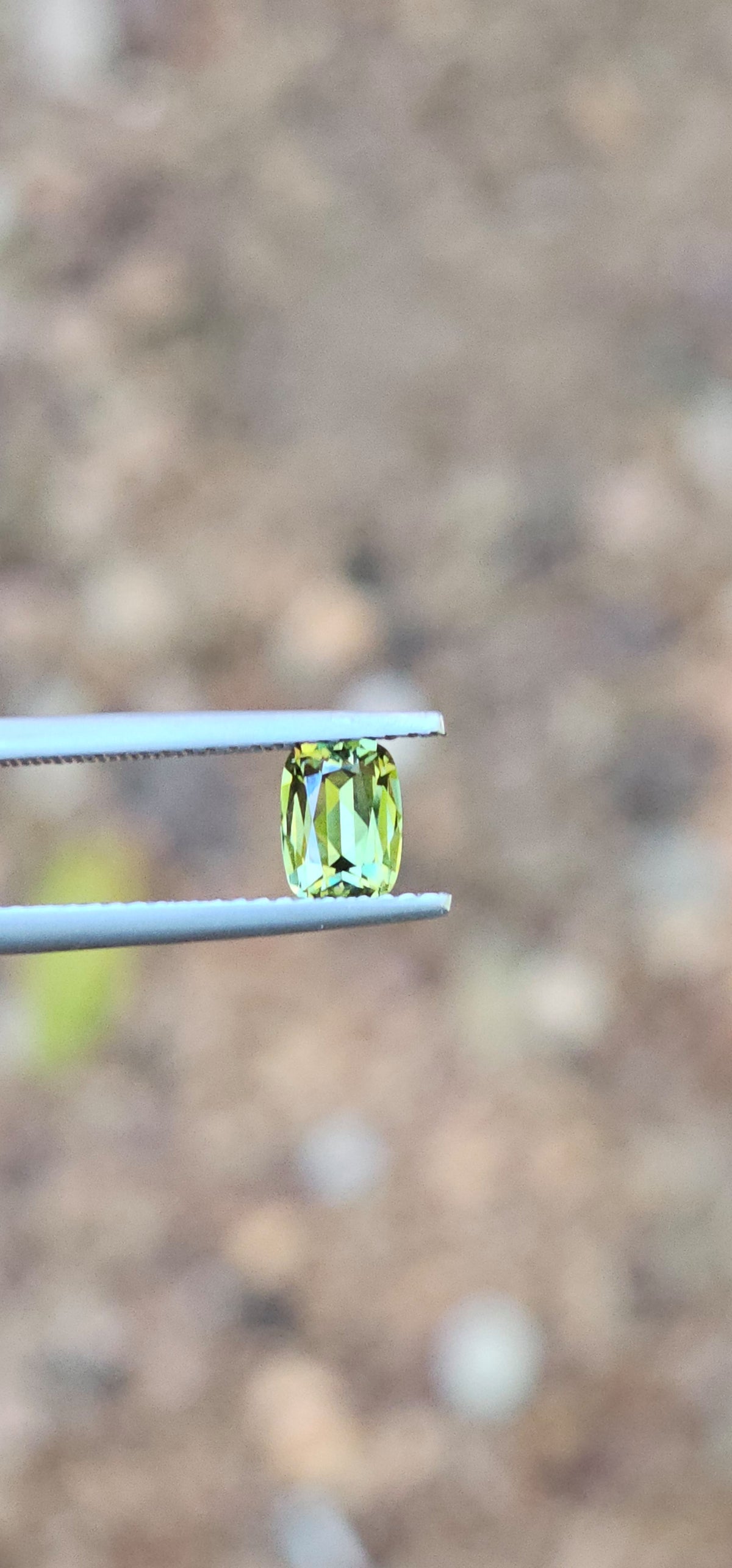 .89ct Cushion Petite Green Parti Sapphire