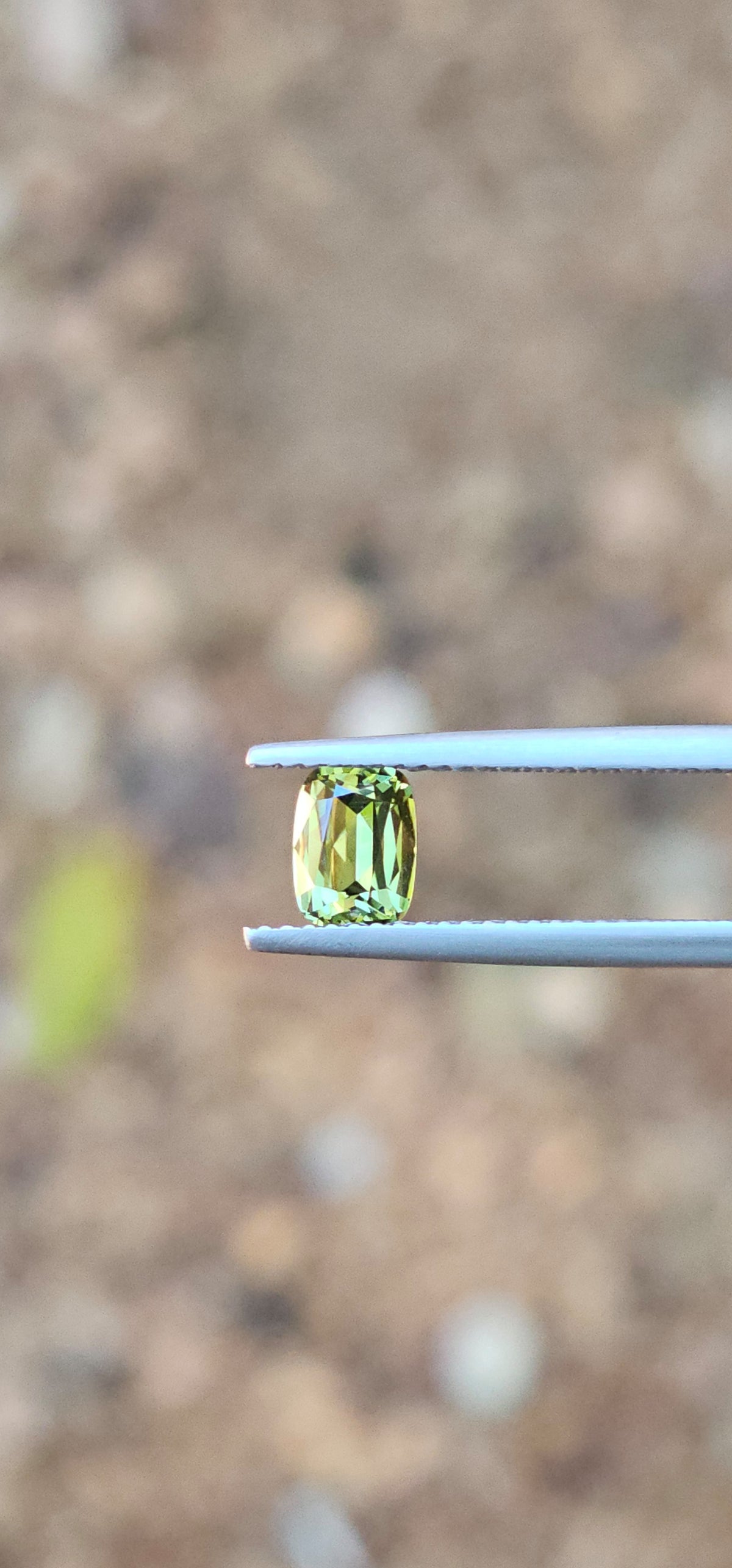 .89ct Cushion Petite Green Parti Sapphire