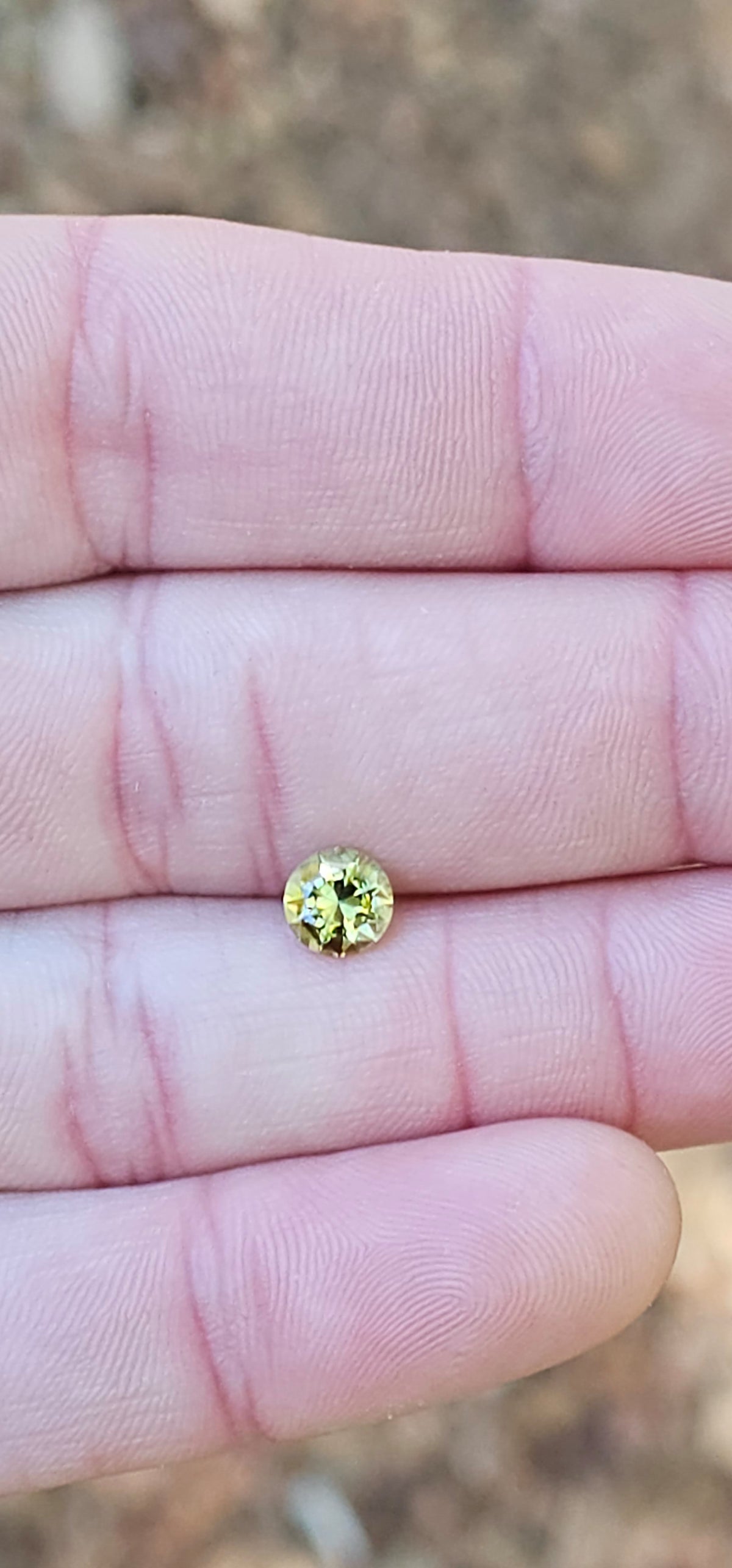 .89ct Petite Green Parti Sapphire