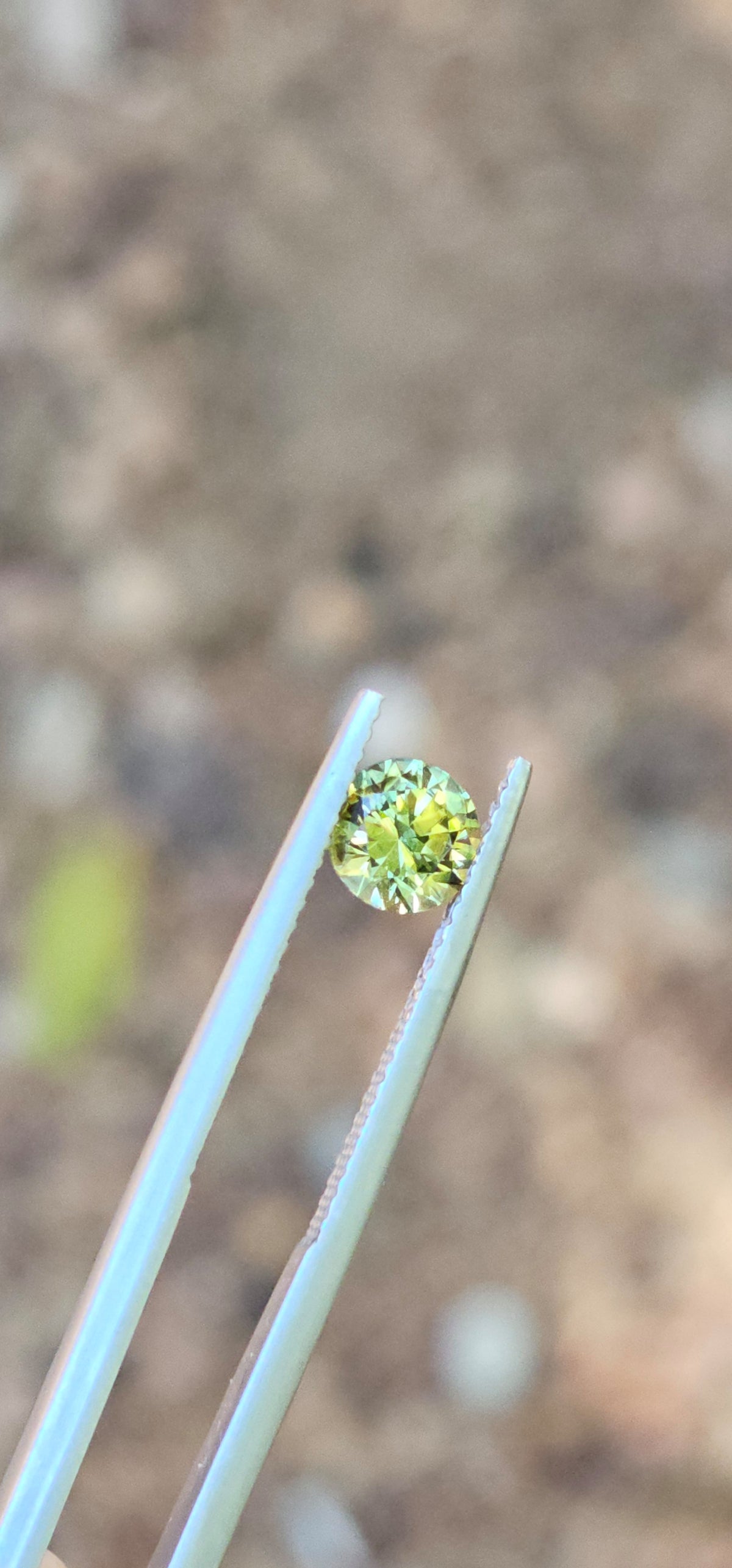 .89ct Petite Green Parti Sapphire