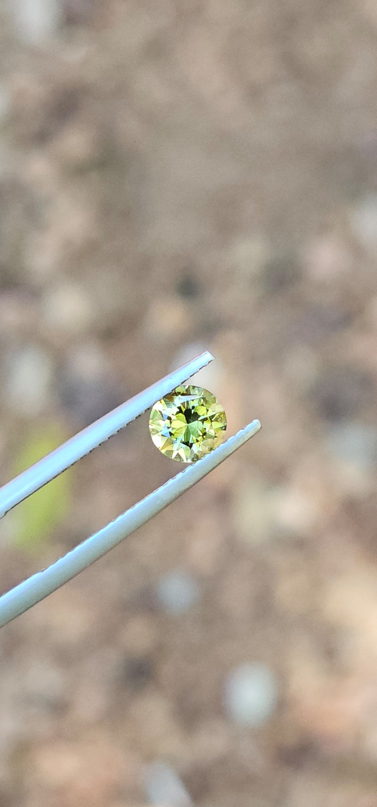 .89ct Petite Green Parti Sapphire