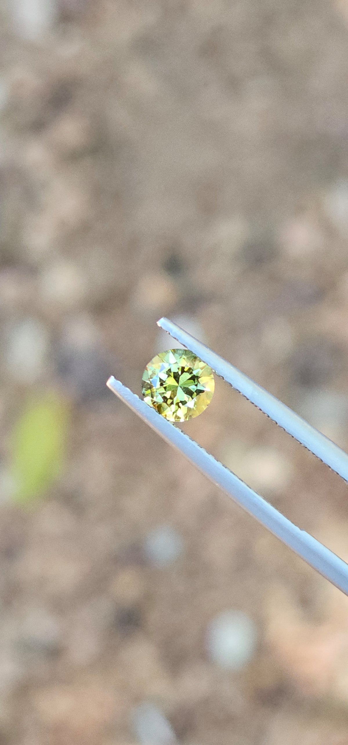 .89ct Petite Green Parti Sapphire