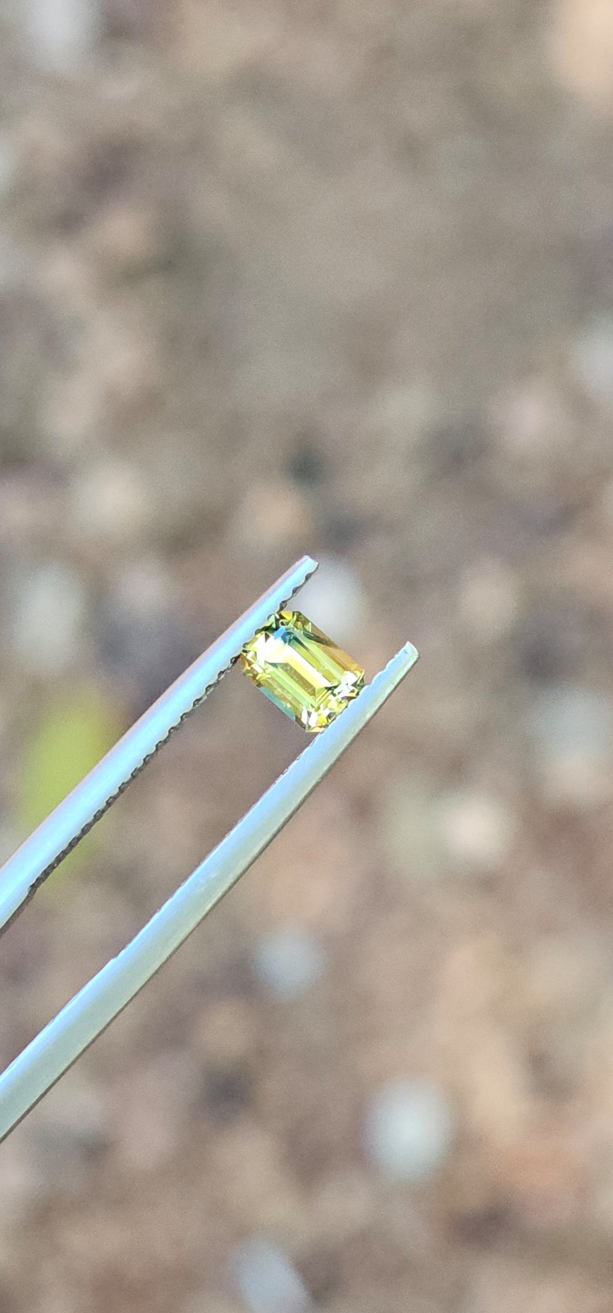 .64ct Emerald Petite Yellow Parti Sapphire