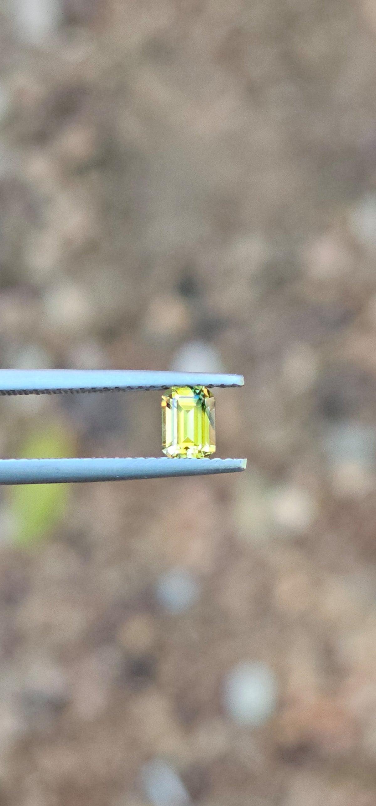 .64ct Emerald Petite Yellow Parti Sapphire