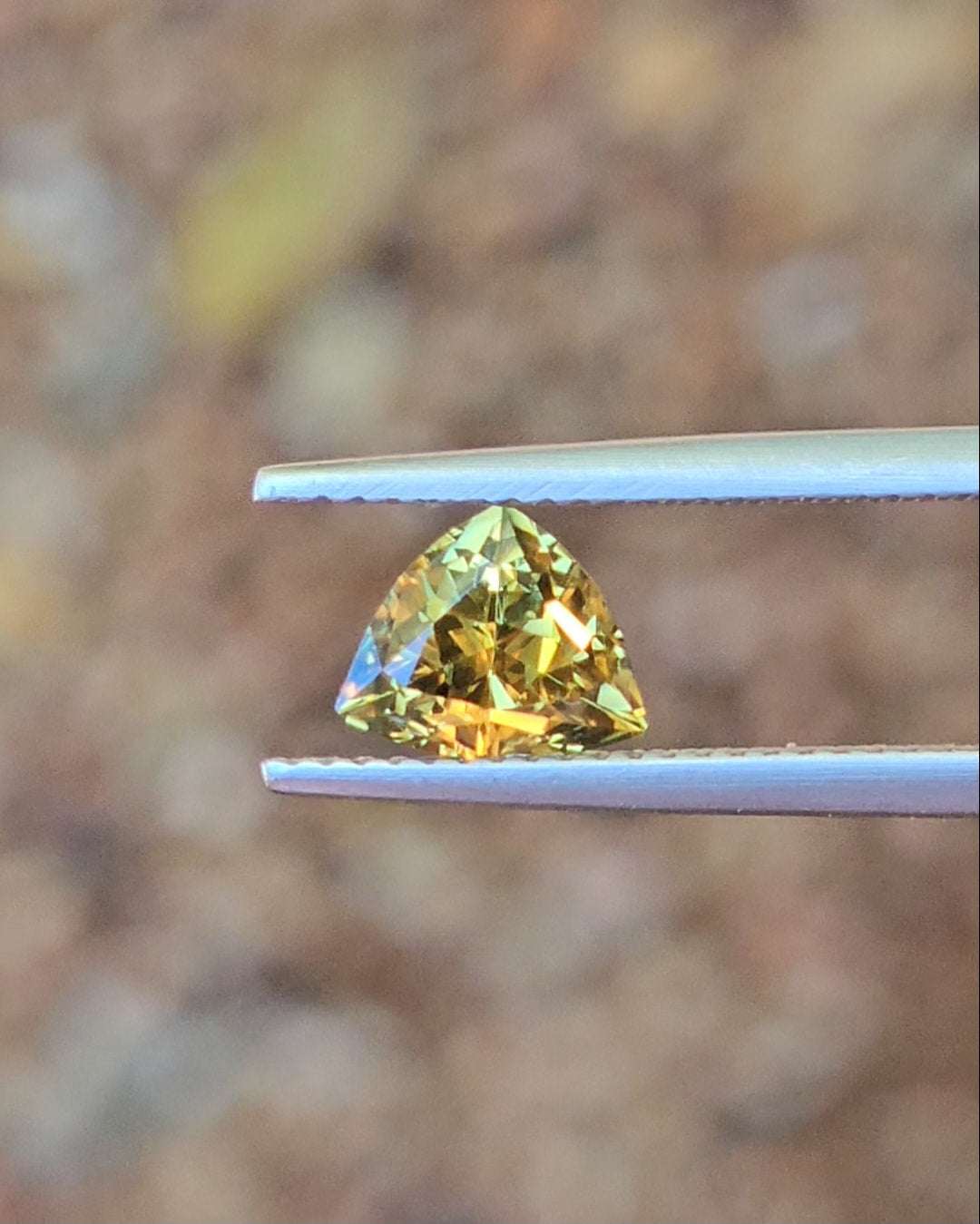 1.84ct Trilliant Yellow Parti Sapphire