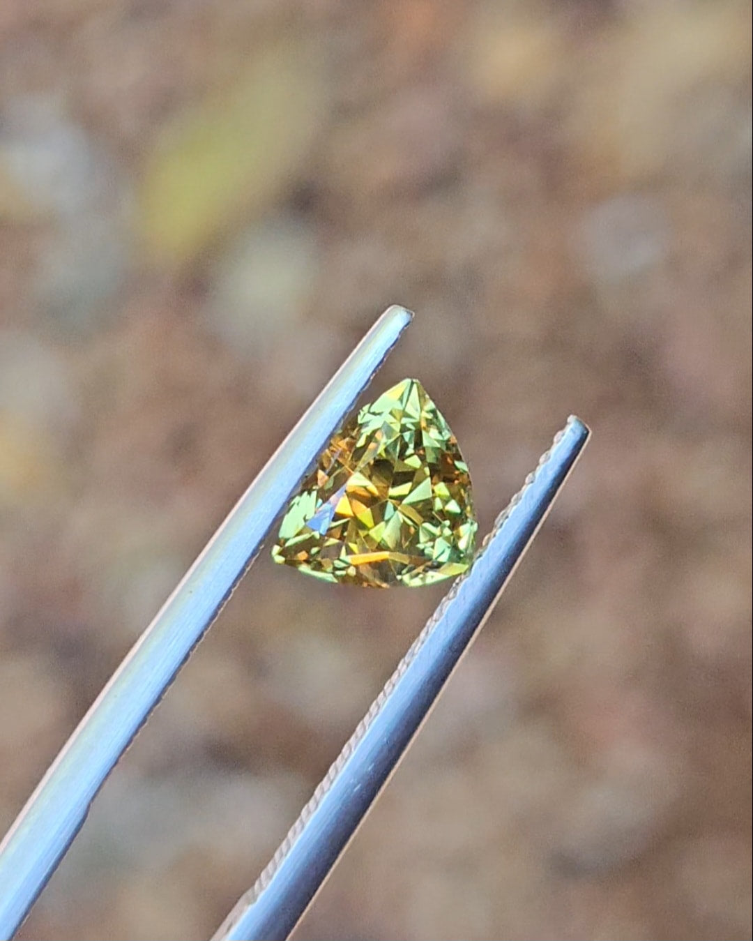 1.84ct Trilliant Yellow Parti Sapphire