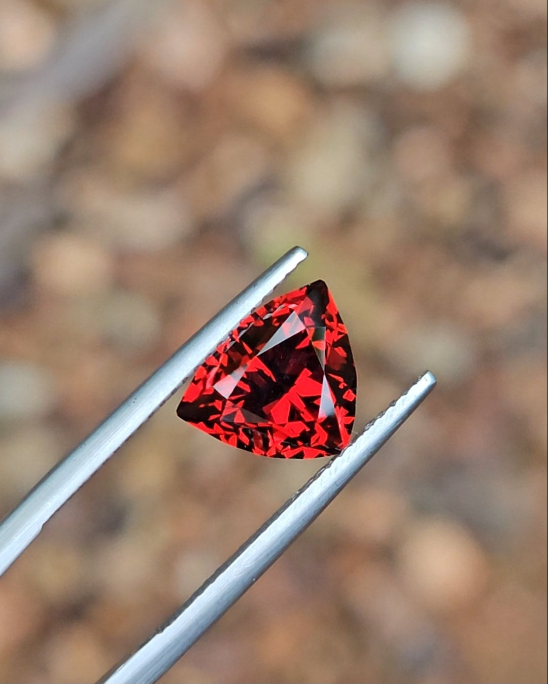 3.16ct Trilliant Red Tanzanian Garnet