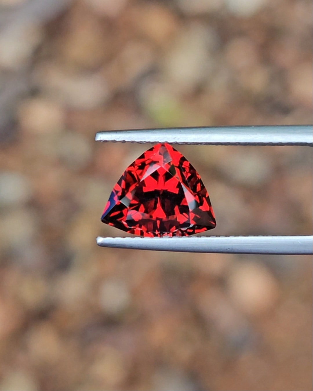 3.16ct Trilliant Red Tanzanian Garnet