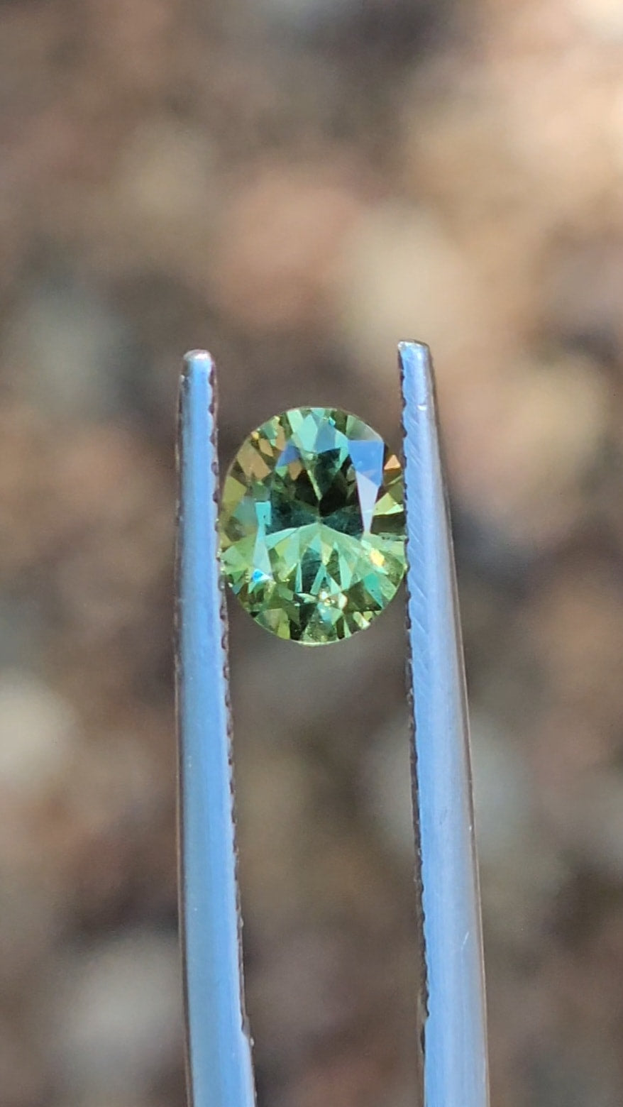 1ct Oval Green Parti Sapphire