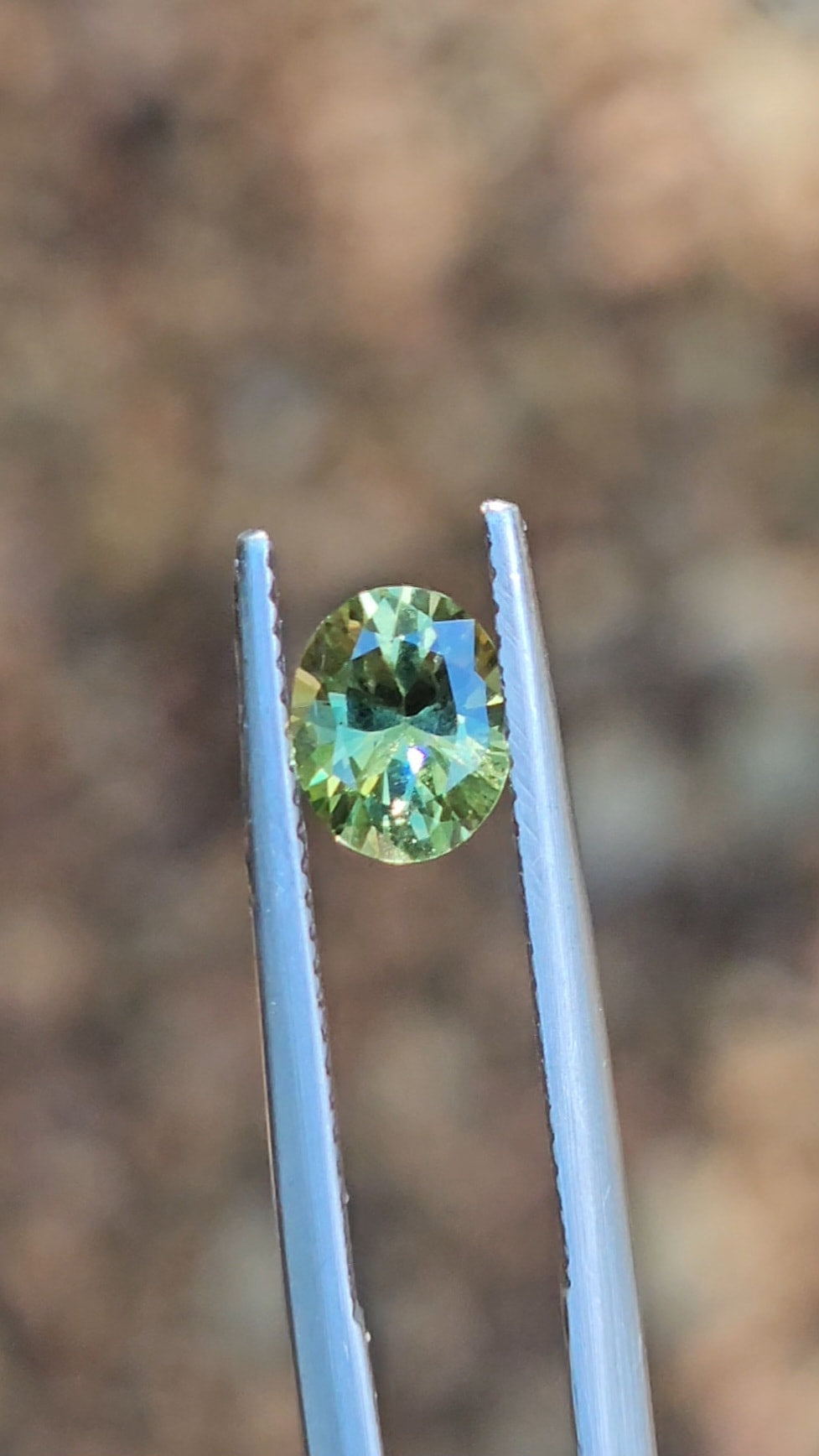 1ct Oval Green Parti Sapphire