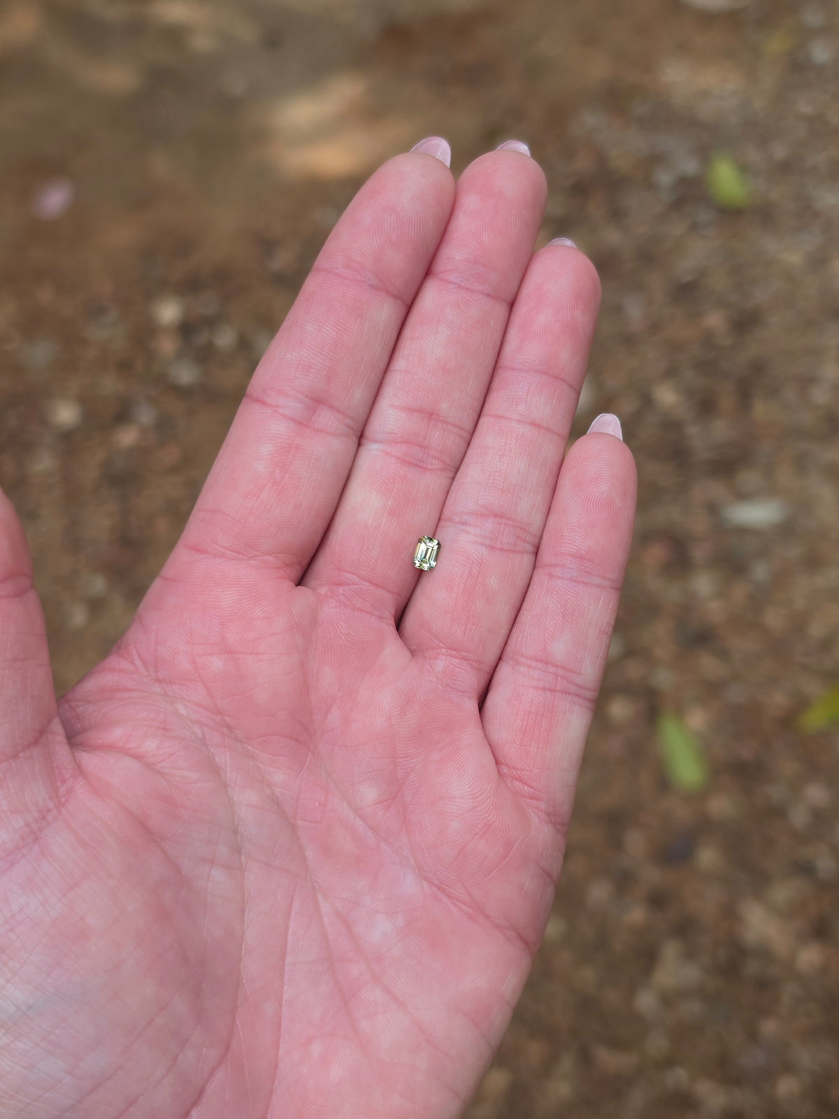 .60ct Emerald Yellow Parti Sapphire
